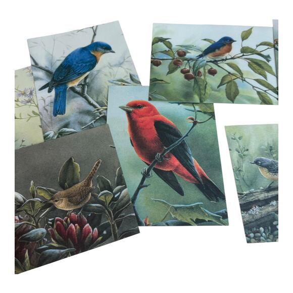 Assorted Vintage Greeting Cards with Envelopes Various Occasions Lot 30+ - Picture 7 of 12